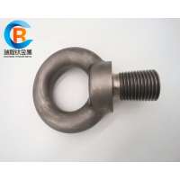 Titanium Ring Bolts with Thread M64 in High Quality