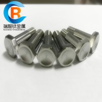 Titanium Hexagon Head Bolt with High Quality